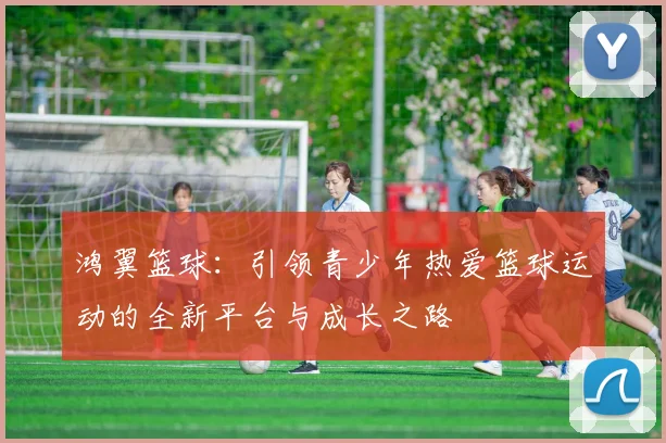 鸿翼篮球：引领青少年热爱篮球运动的全新平台与成长之路