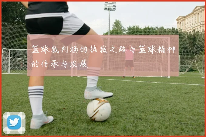 篮球裁判杨的执裁之路与篮球精神的传承与发展