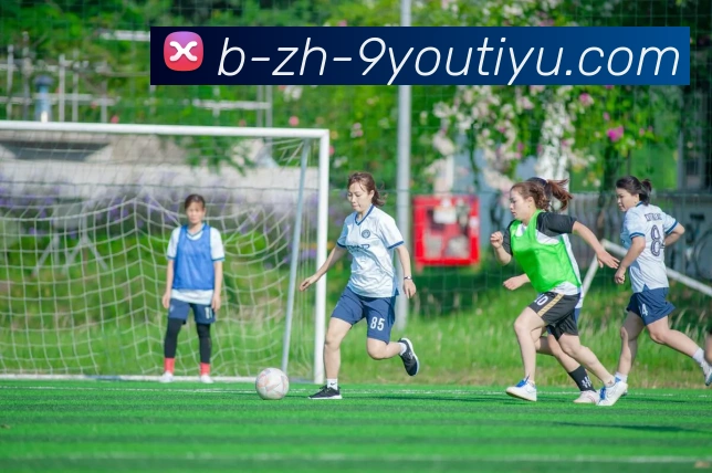 多媒体互动体验